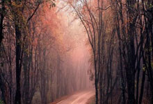 pg模拟器官网：罗体：若尤文未进欧冠&晋级世俱杯淘汰赛,仍有可能和图多尔....