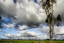 父亲：小基耶萨在利物浦非常开心；不后悔他去英格兰踢球.