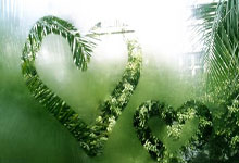 pg模拟器官网：四强就位，德约100冠在望贝雷救6赛点徒劳，萨巴进决赛积分破万.